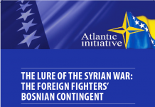 Research The Lure of the syrian war