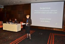 Workshop: “Responses to Violence – Considerations for Domestic Violence Case Evaluation in BiH,” February 14, 2014, Sarajevo DSC 0137