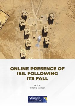 Online presence of ISIL following its fall